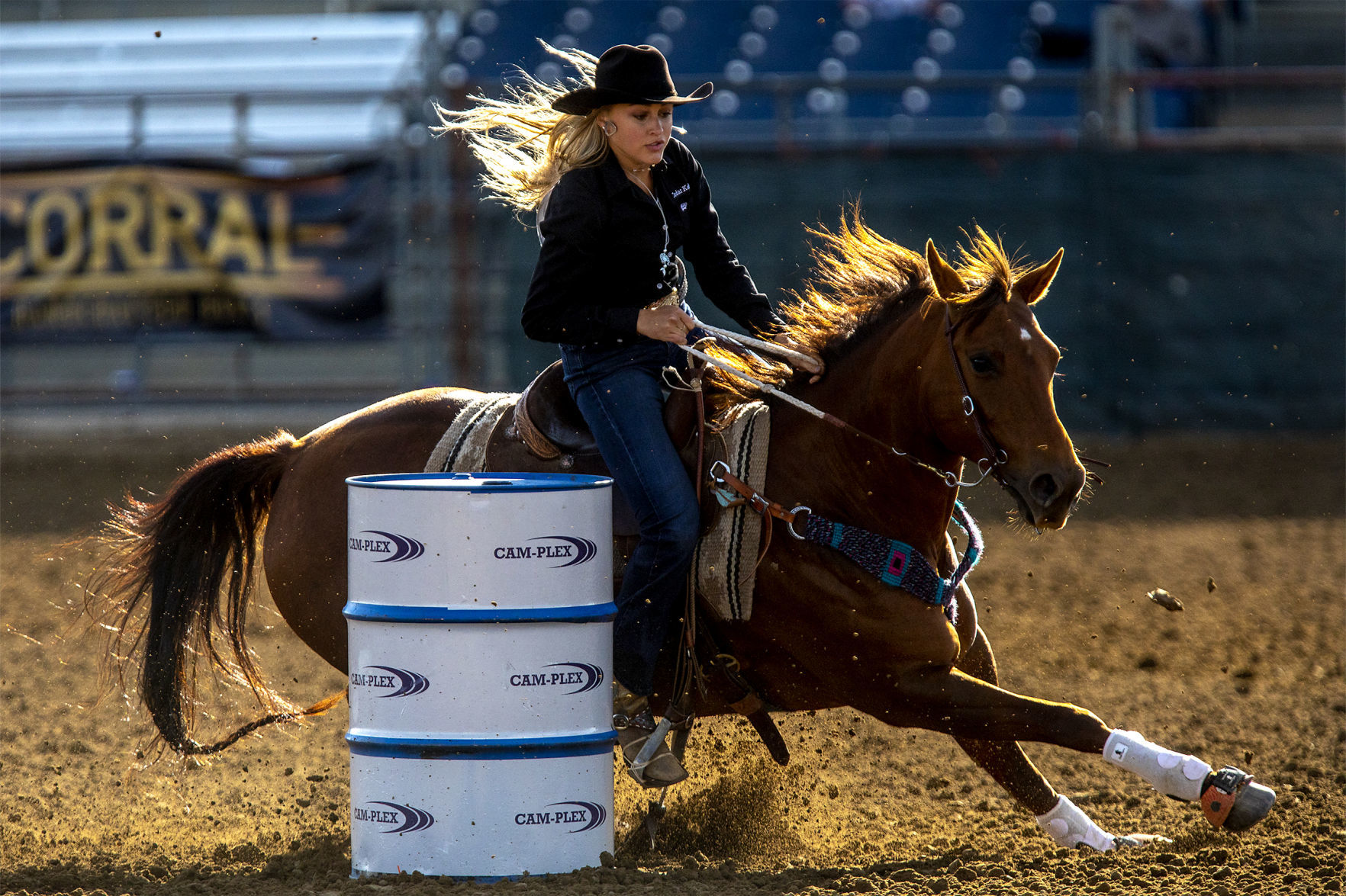 Friday Rodeo